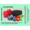 Inawera Just Berries - koncentrát